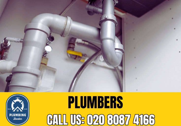  plumber Eltham Park