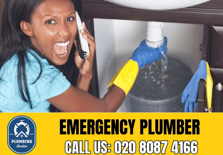 emergency plumber Eltham