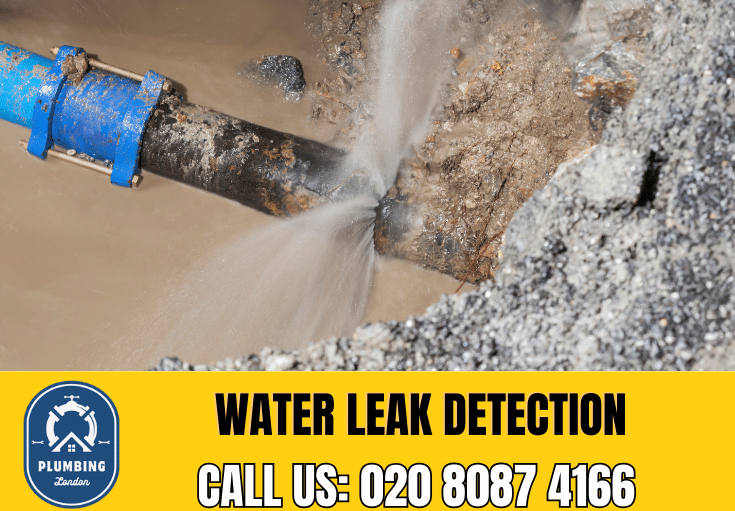 leak detection Eltham