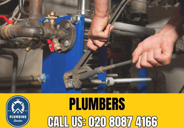  plumber Falconwood